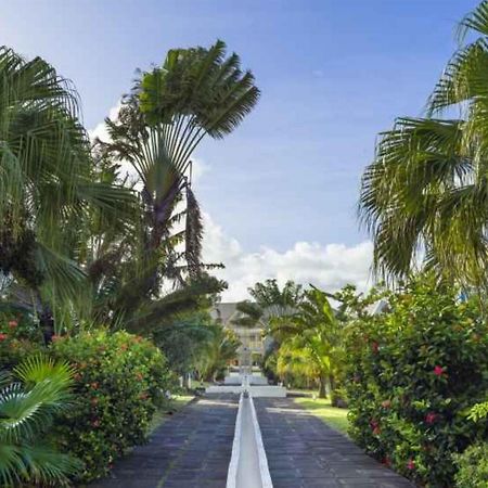 Studio Kaz Ananas Au Manganao Saint-Francois  Ngoại thất bức ảnh
