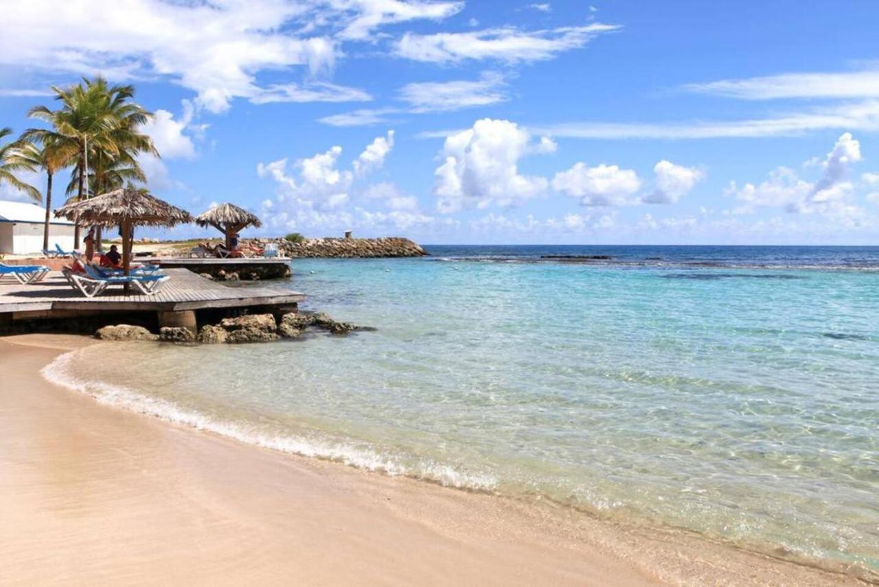Studio Kaz Ananas Au Manganao Saint-Francois  Ngoại thất bức ảnh