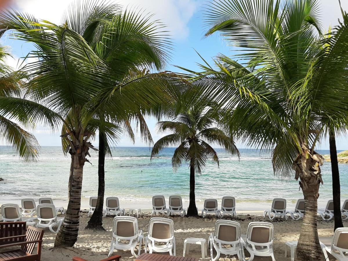 Studio Kaz Ananas Au Manganao Saint-Francois  Ngoại thất bức ảnh
