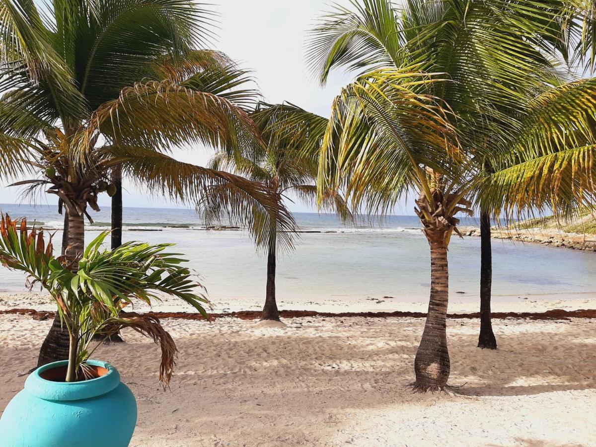 Studio Kaz Ananas Au Manganao Saint-Francois  Ngoại thất bức ảnh