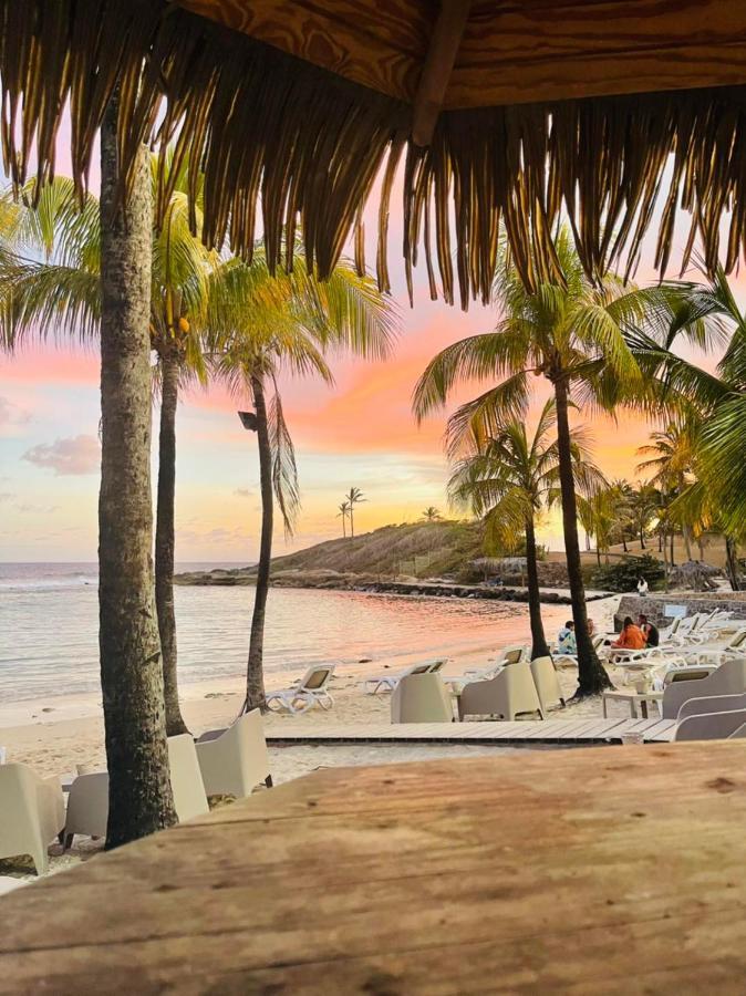 Studio Kaz Ananas Au Manganao Saint-Francois  Ngoại thất bức ảnh