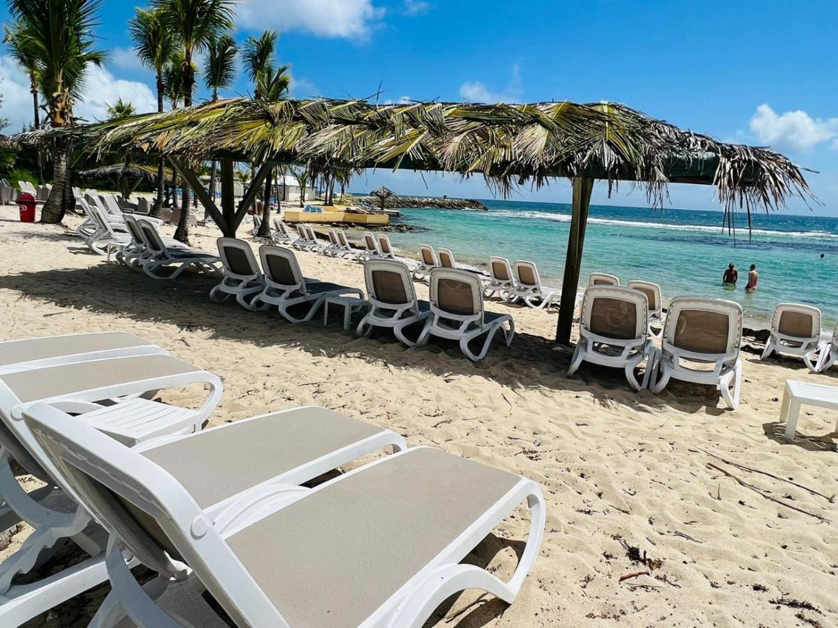 Studio Kaz Ananas Au Manganao Saint-Francois  Ngoại thất bức ảnh