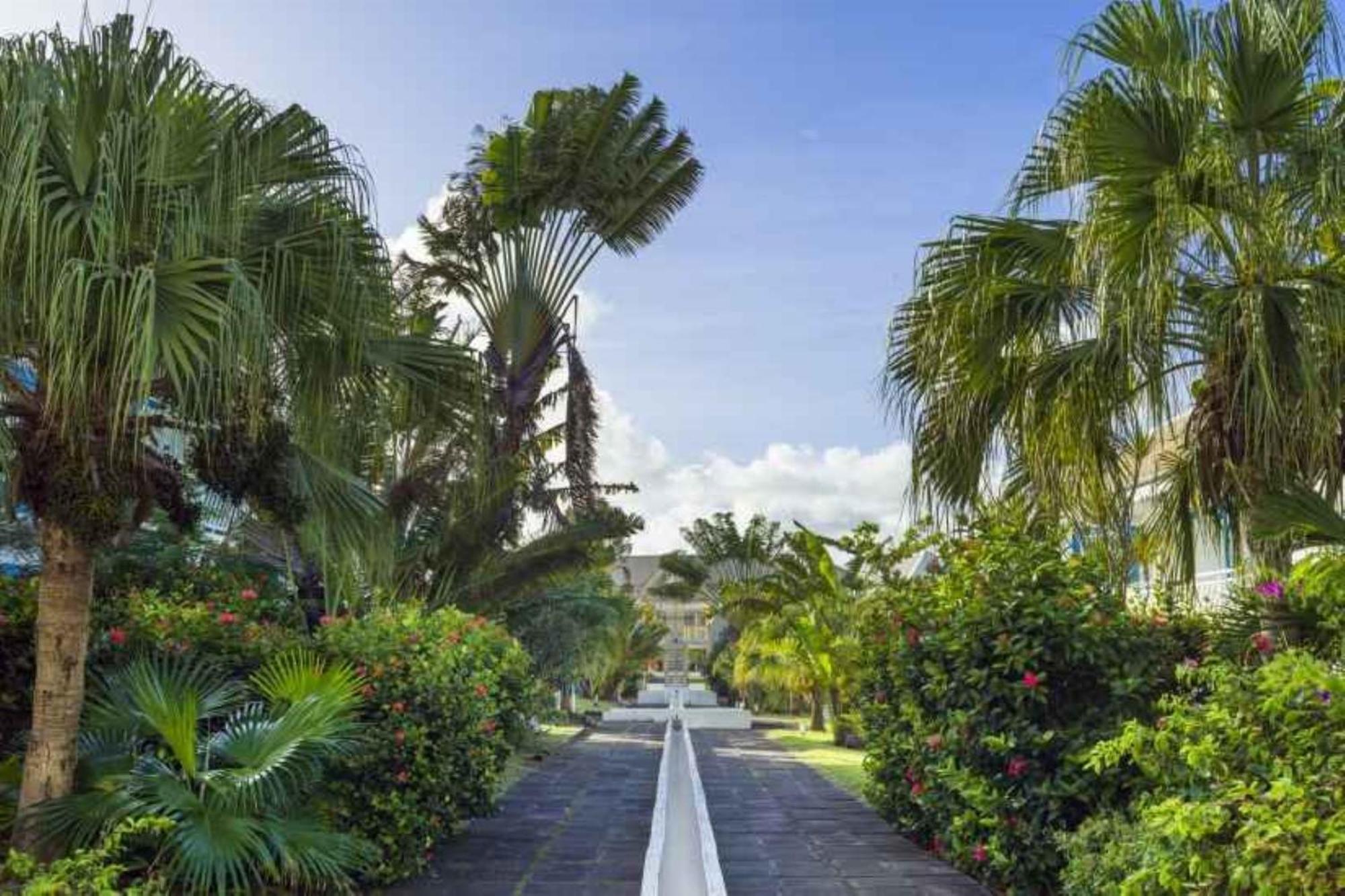 Studio Kaz Ananas Au Manganao Saint-Francois  Ngoại thất bức ảnh
